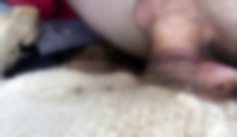 amateur and homemade porn,love zoo porn