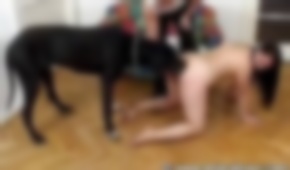dog sex,zoo fuck porn